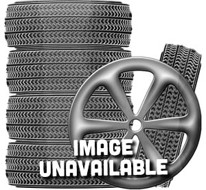 Vision Tire W18052610146EM80 VS1805 TRALFNDER 80KMH EMARK